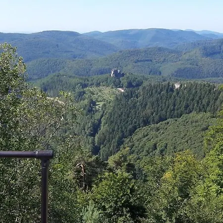 Wasgauer Felsen Und Seen Apartment Ludwigswinkel
