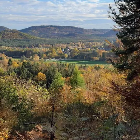 Wasgauer Felsen Und Seen * Ludwigswinkel