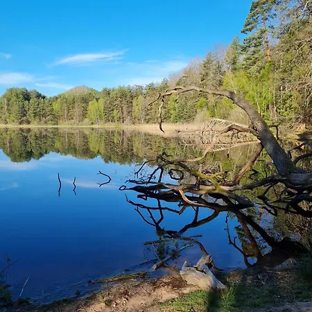 Wasgauer Felsen Und Seen Apartment