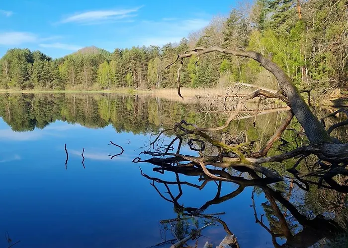 Wasgauer Felsen Und Seen Apartamento